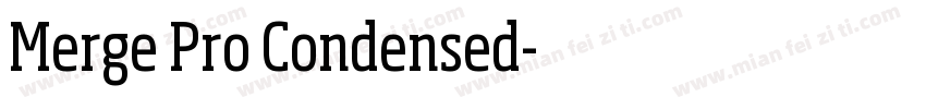 Merge Pro Condensed字体转换